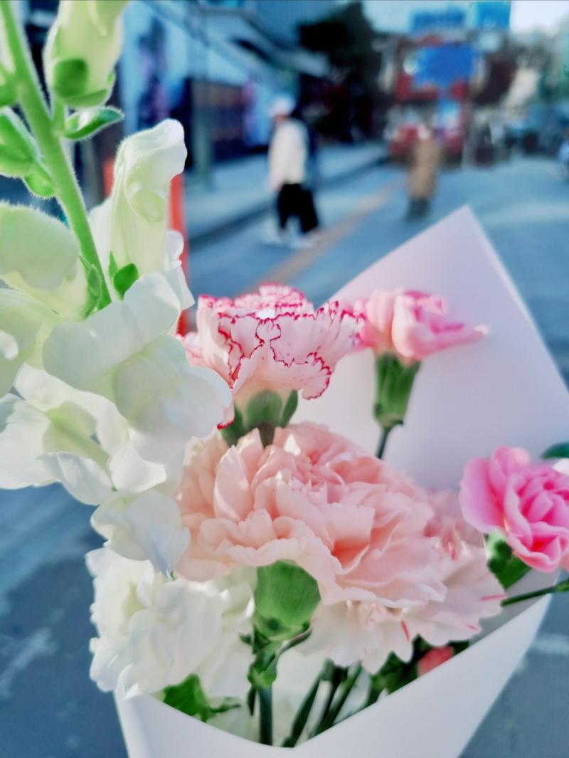 샀어용 금어초 약간 유치한 핑크색 카네이션이 작은 송이로 여럿 달린 줄기 복숭앗빛 방울 섞인 살구색 카네이션 송이 무늬 동백처럼 자분홍 빗금이 카네이션 송이 아주아주 연한 핑크