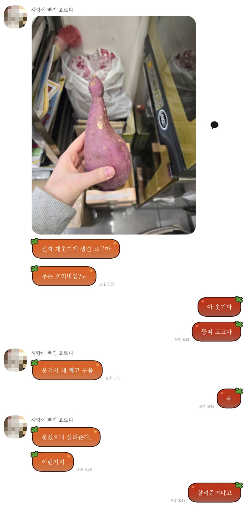 은혜 갚는 고고마가 되길