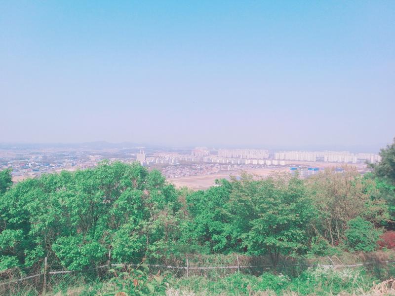 등산 산을 오를 때의 풍경과 정상에서 보이는 넓은 경치가 마음을 평온하게 시원한 바람이 만드는 숲속의 파도소리도 좋아해 오를 때는 힘들지만 땀을 잔뜩 흘리고 두근거리는 심장소리를