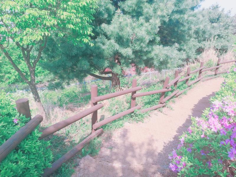 등산 산을 오를 때의 풍경과 정상에서 보이는 넓은 경치가 마음을 평온하게 시원한 바람이 만드는 숲속의 파도소리도 좋아해 오를 때는 힘들지만 땀을 잔뜩 흘리고 두근거리는 심장소리를
