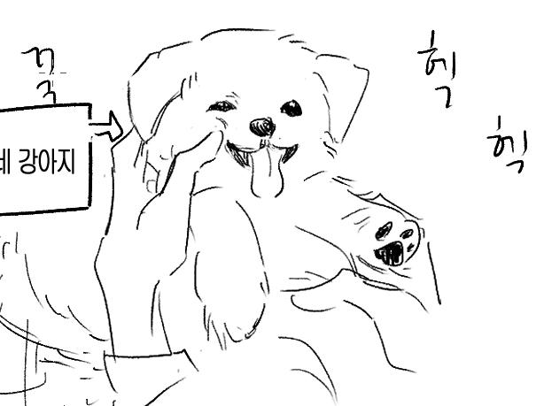 가나지