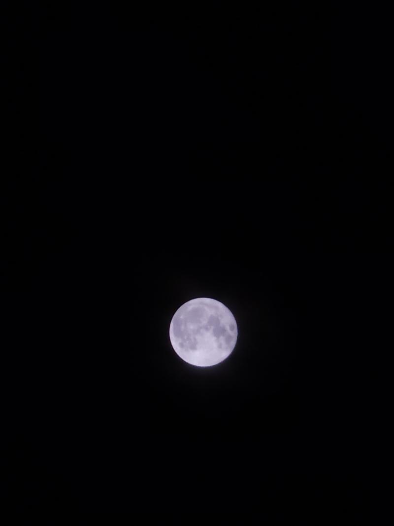 요거는 일부러 밝기 어둡게