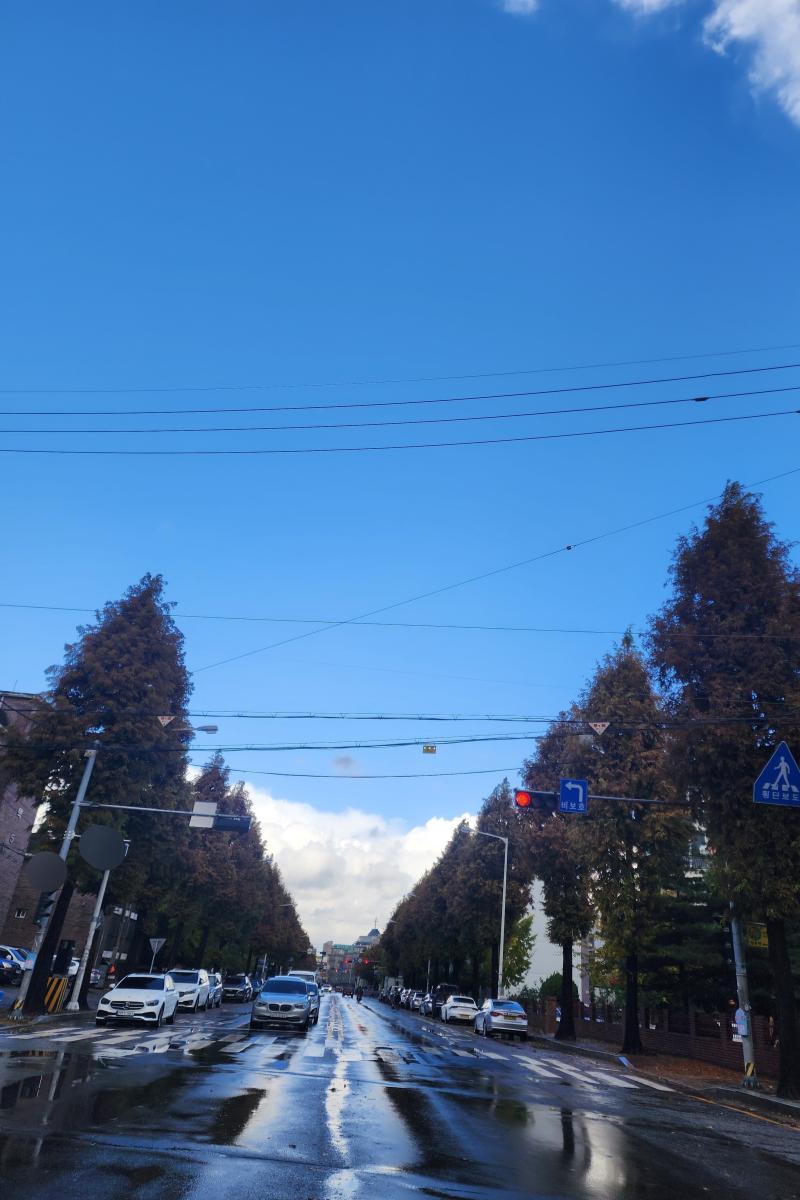 그치만 사진 올리는 여기가 제일 편해 근데 사진이 이렇게 나올 줄은 몰랐다 건너면서 화면 보고 그냥 누른 건데