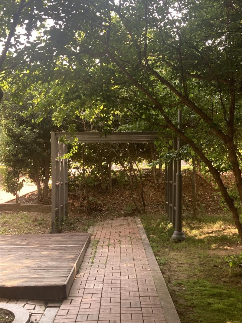 짜잔 가다가 비밀의 정원 같은 발견 저기에 벤치라도 있었으면 하루종일 시간 보낼 있을 텐데 그러나 벌레가 많았다 오늘은 뭔가 흐지부지하게 마무리 느낌이 있어 속도 좋고 머리도