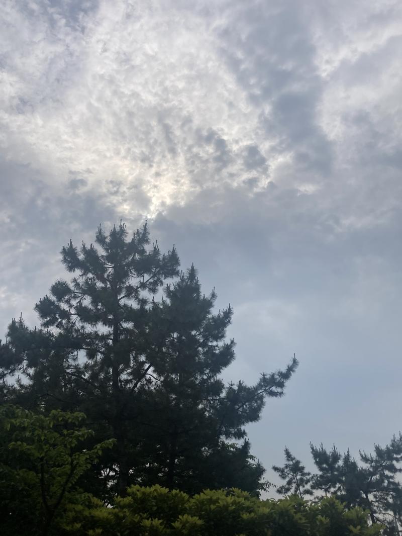 현충일 늦게 일어났다 공휴일 시험기간 스카에 사람 많겠어 바빠서 아무거나 찍었다 오늘은 구름 날씨 서늘하고 완전 좋아 뽀송뽀송하게 하루를 시작할 있겠다 오늘은 새로운 플리를