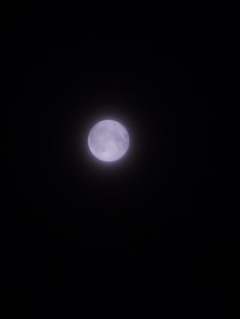 아깐 맑았는데 구름이 살짝 깔려있어서 번진 느낌