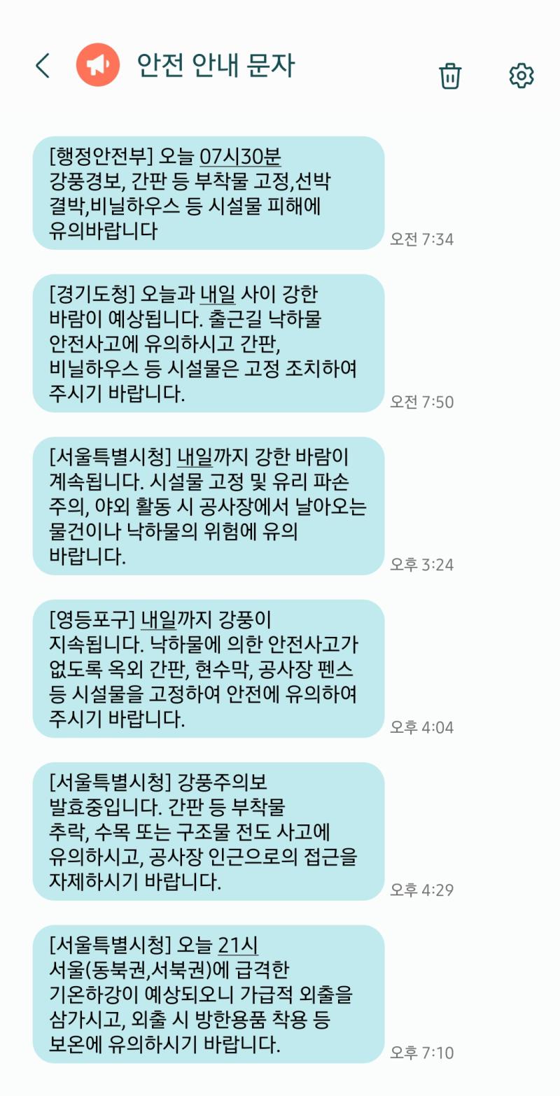 이미 손발이 너무 차가워요 통이 바지 입었는데 예상 외로 엄청 춥고 그러진 않네 다행 손발아 조금만 참자