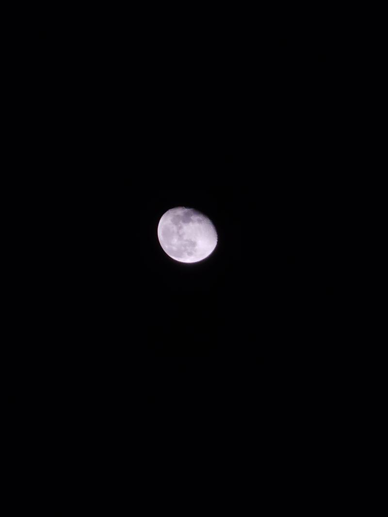 이틀동안 달은 봤는데 사진을 찍었어 마지막 안녕