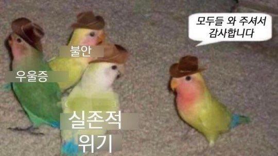 입춘