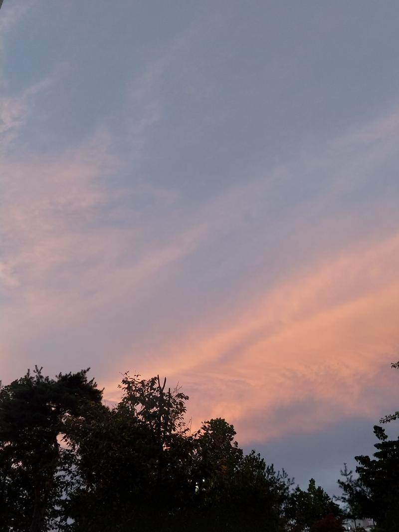 황혼 예쁠게