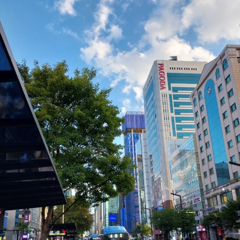 여름의 강남역 우리 엄마랑 아빠 점심시간에 놀러가서 빙수 다같이 먹구옴