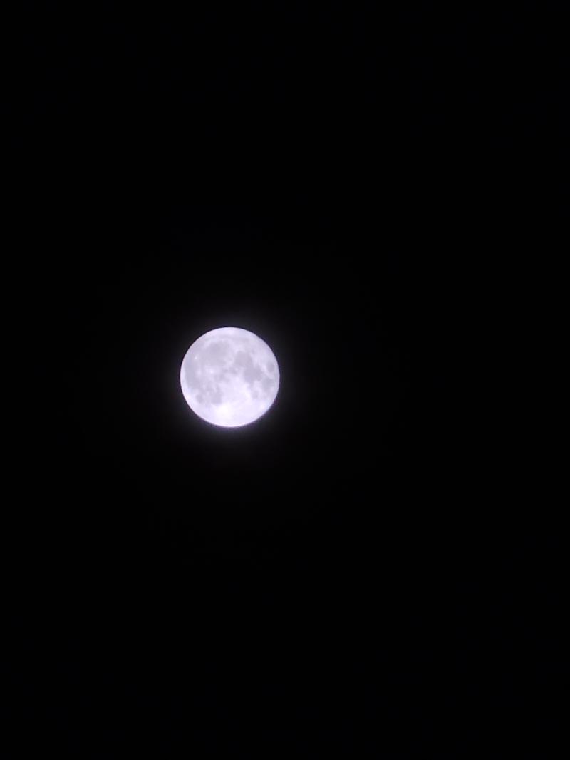 겨우 찍었다