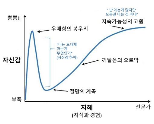 더닝크루거 효과는 문득 그냥 내가 겪는 과도기 물리에 대한 마치 절벽같이 내려가는 포인트 같아서 해봄
