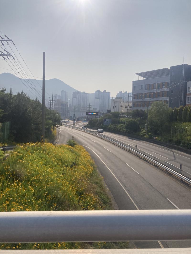오늘 완전 기분 좋아 스카 등으로 도착했어 좋은 풍경도 마음껏 보고 이래서 주말 아침이 좋아 남들이 잠든 동안 혼자 전세내고 등석에서 세상을 만끽하는 기분 세상을 가진 기분 이른