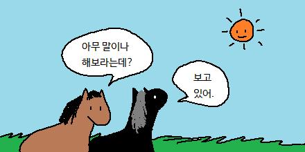 말이 해를 보면 그냥 해본 말이야