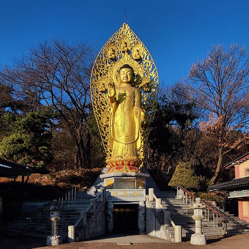 내려오면서 거대한거 찍어따 그리고 앞에서 제주항공 사고 희생자의 명복과 내년에는 가슴 아픈 없게 달라고 빌고 왔다