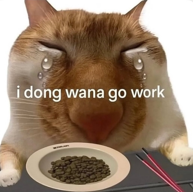 ㅜㅜㅜㅜㅜ..