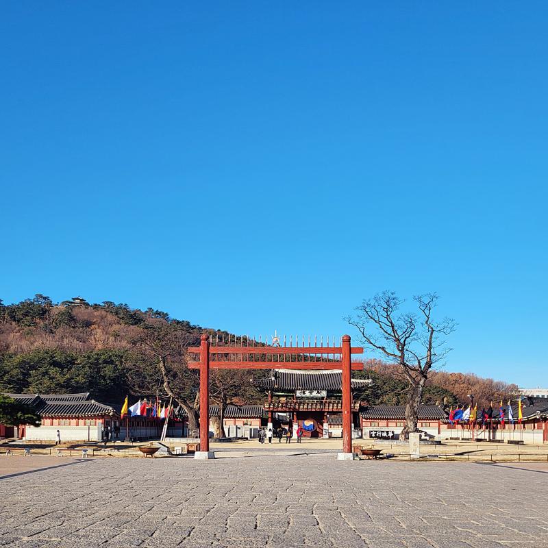 해돋이 기다리면서 엄청 추워가지고 핫팩 잡구 뜨신물 마시고 그랬는데 해가 뜨니 괜찮아지던 날씨 맑아서 다행이얌