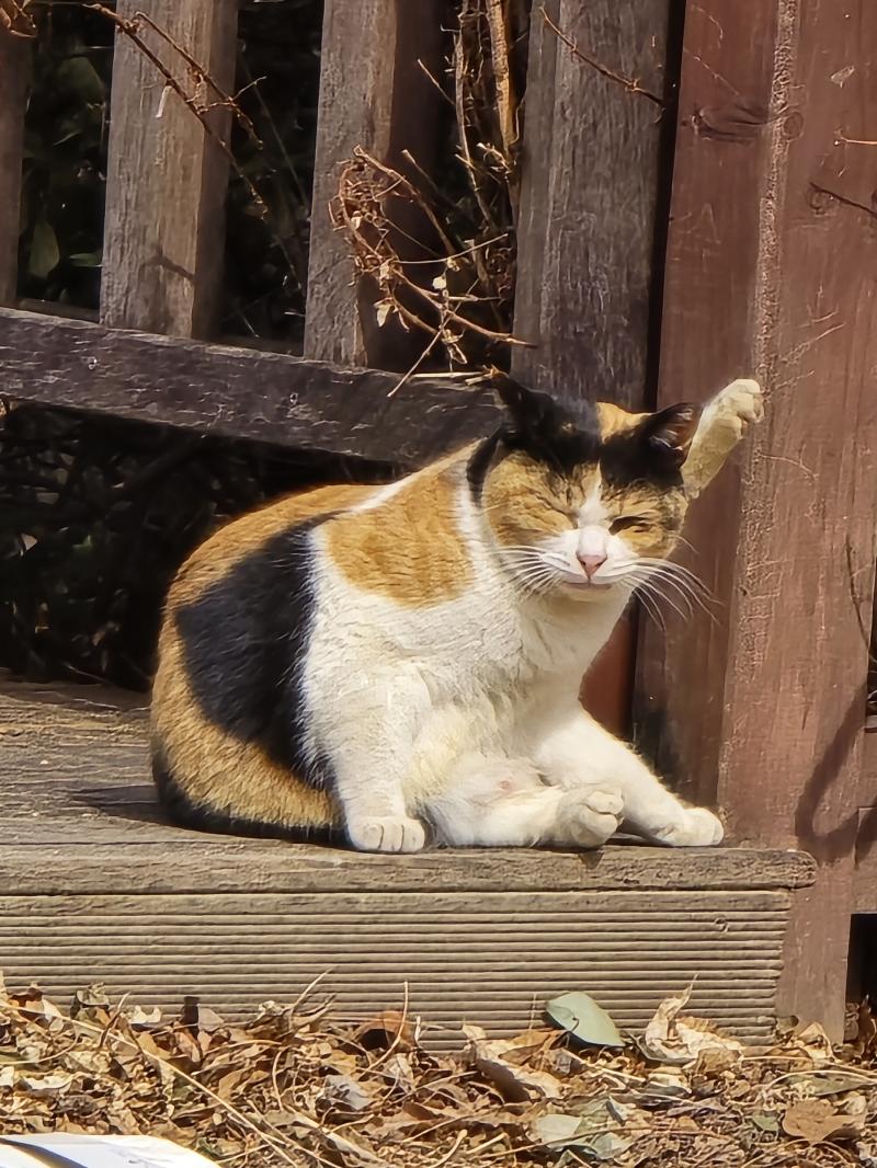 귀여버