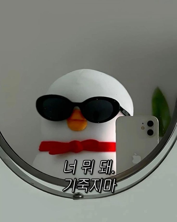 대리님이 공유해준 사진 대리님이 자꾸만 치면 눈물 흘릴 같대 일주일 지나면 괜찮겠지 과장님이 첫날에 예쁘고 빛났던 애가 시들시들해졌다고 하심 직장다이어트임 벌써 키로 빠짐