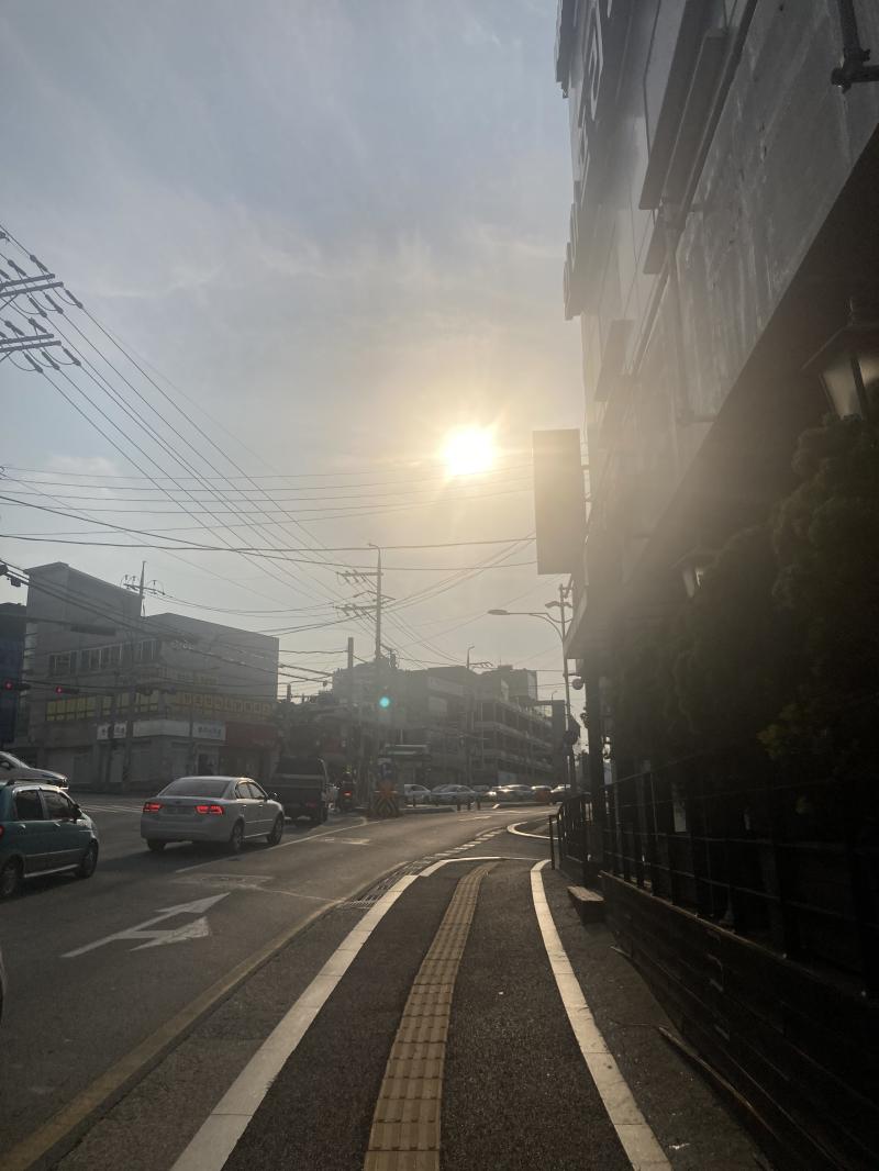 지금 시각의 하늘도 맑고 예뻐 정열적인 태양 네가 너무나도 따스해서 감기도 달아나겠어 그랬음 좋겠다 일찍 귀가하기로 했다 늦으면 바람이 차서 감기 걸리라고 쐐기 박는 일이 같아서
