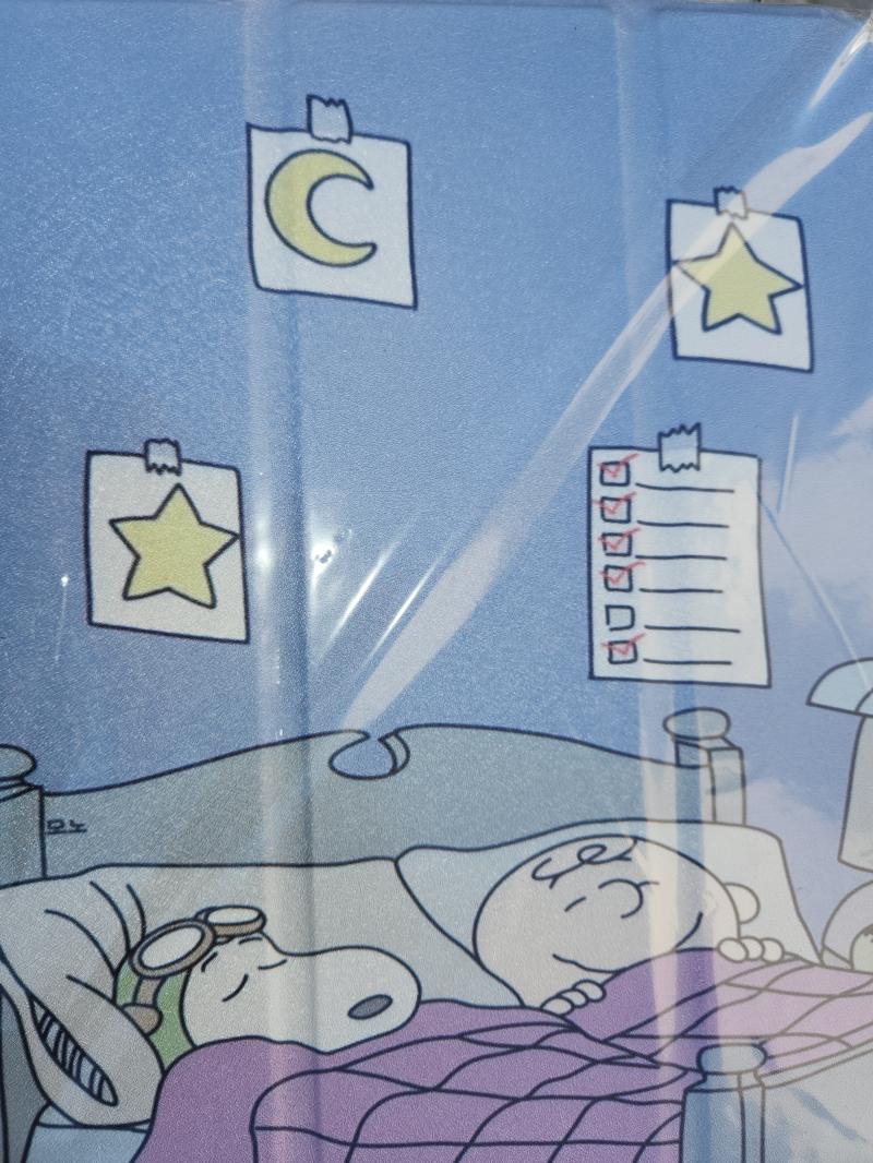 아이패드 케이스 새로 샀는데 귀엽다 근데 구매기록 보니까 기존 케이스도 똑같은 곳에서 샀더라고요 아무래도 판매자분이랑 취향 겹치는