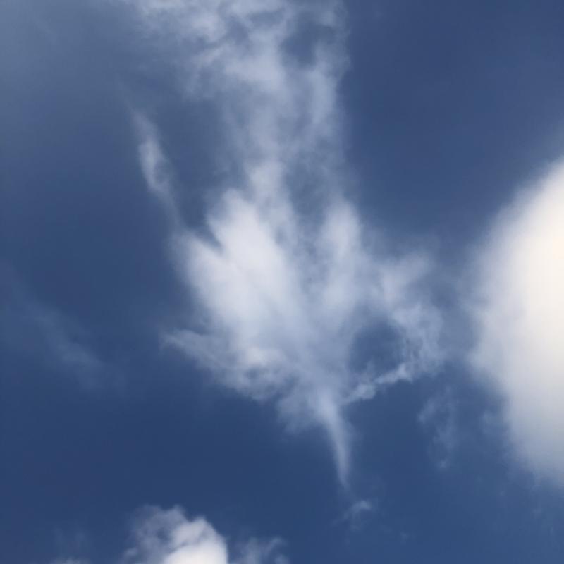 정보 위에 슬며시 보이는 구름은 단풍 구름이다 단풍잎처럼 생겨서 단풍 구름이라고 이름을 붙였고 한다 이름 붙인 이는 어느 t사이트 유저로 해당 사이트에 이라는 이름으로 일기를