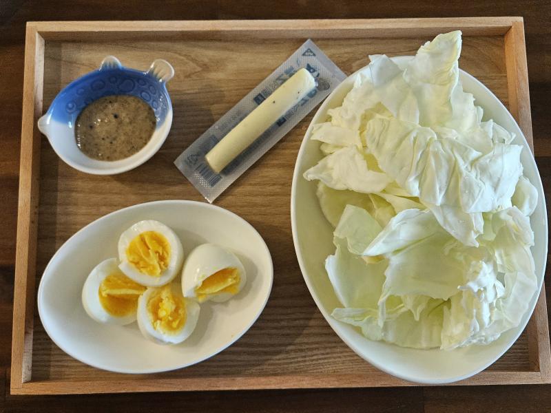 다이어트식으로 차려본 늦은 아침 분경에 먹었다 양배추 비리고 계란 느끼해서 나중에 멸치볶음이랑 같이 먹었다 양배추 양이 많아서 다음 식사에 먹으려고 씌워두었다 치즈스틱은 유통기한