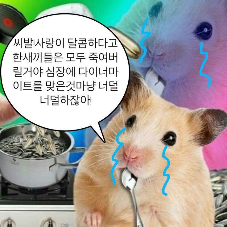 ㅋ......