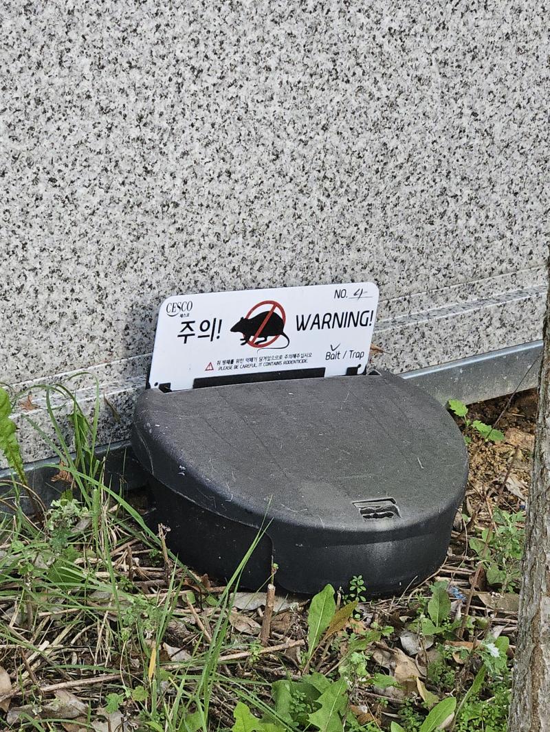 보고싶다