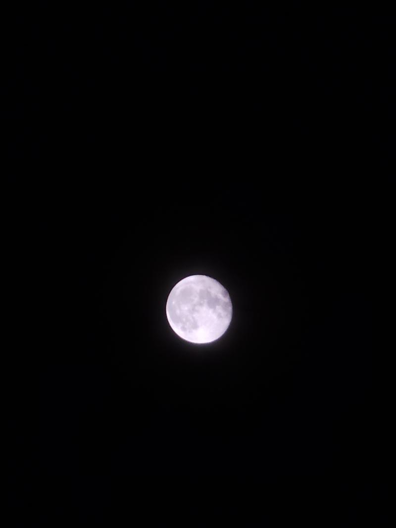 안녕 다들 주말 보내