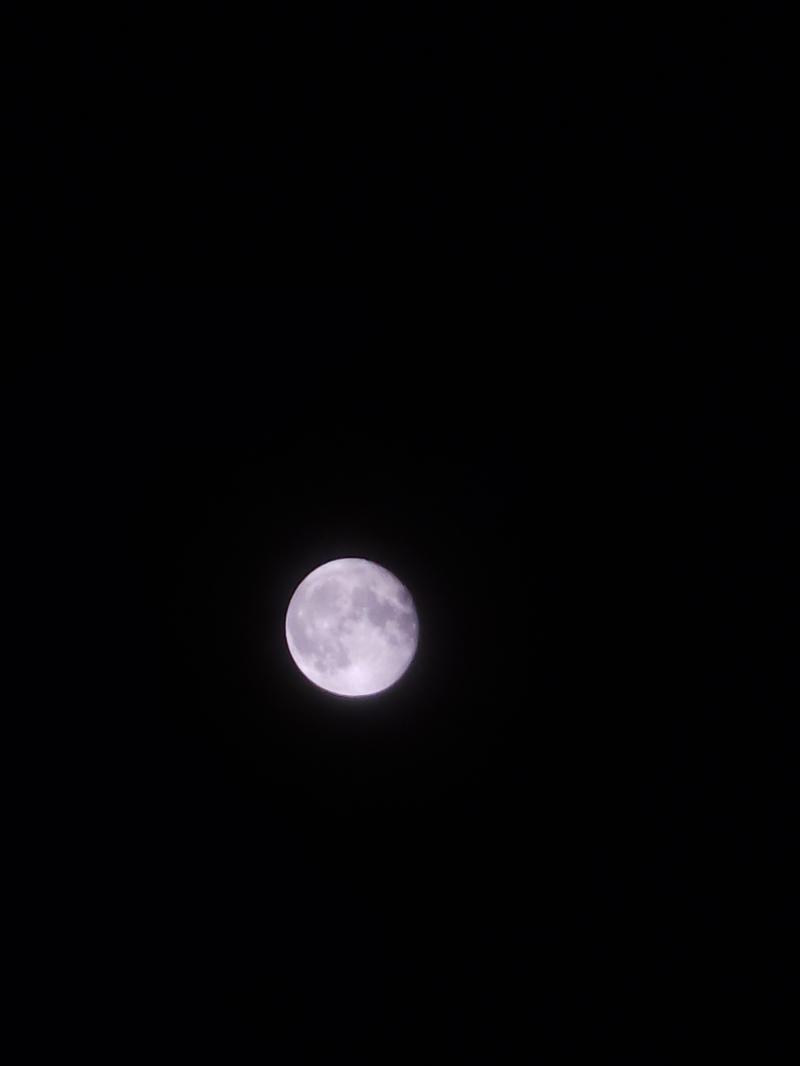 안녕 다들 주말 보내