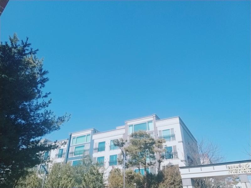 맑은 하늘 오늘 하늘 진짜 맑았는데 알고 있어 바람이 엄청 세게 불어서 미세먼지도 없고 정말 상쾌한 날이였어 숨을 크게 들이 쉬면 폐를 체우는 시원하고 상쾌한 공기가 정말 좋아