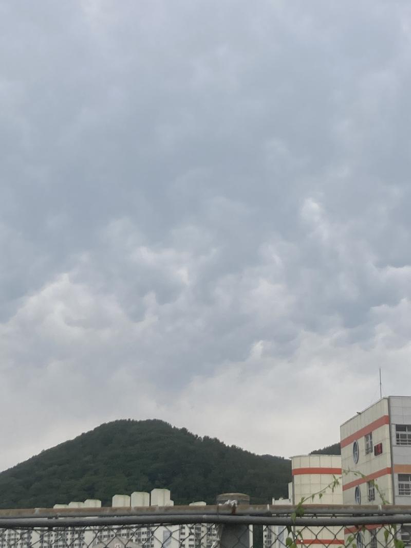 오늘은 비가 예정인데 우산이 없어서 급히 귀가 일찍 김에 언제까지 풀지 대충 하루 이상 풀지 정해야겠어 사실 J이지만 계획 세우는 것만 취미고 하나도 지키는 내키면 지키는 기분파