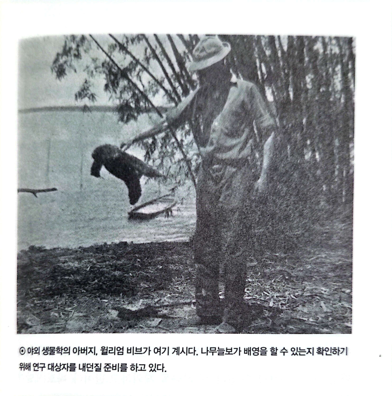 그걸 어떻게 아냐구요 나무늘보가 헤엄칠때까지 물에 던진 학자가 있었음을 잊지마십시오 추가설명 비록 지금은 무수리지만 퀸이되고싶습니다 애랑 개키우는 사람 난입가능