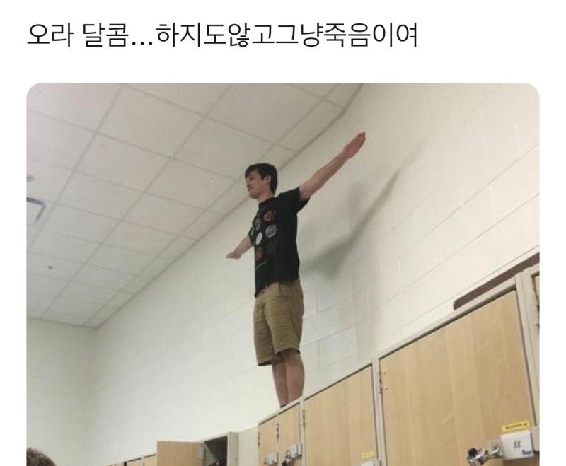 평가원새끼들은제정신이아니다
