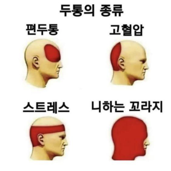 엔팁인척하는 엔프제