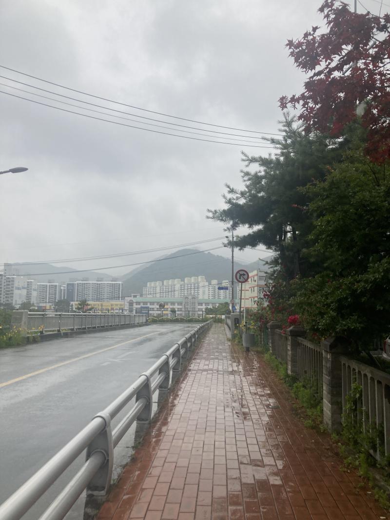 오늘도 목감기 이슈로 일찍 귀가 비가 오는 날씨도 나름의 아름다움이 있는 같아 완전 운치있어 이런 날에는 전이 맛있는데 하지만 오늘 저녁은 삼겹살 맛있겠당 허어 말도 애호박전도