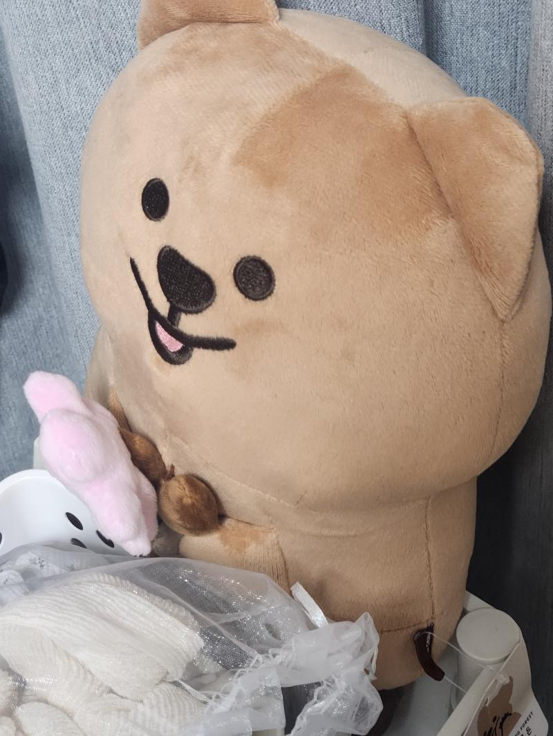 남친이 선물 인형 스물다섯 남성이 고양이와 커여운 동물들과 인형을 좋아하다 거참 때마다 맨박스를 갖다 박살내버리는 사람인 같음