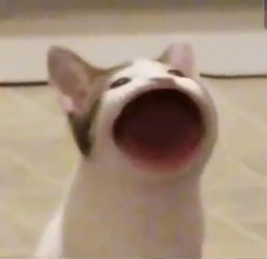 그려줄 있을까 혹시