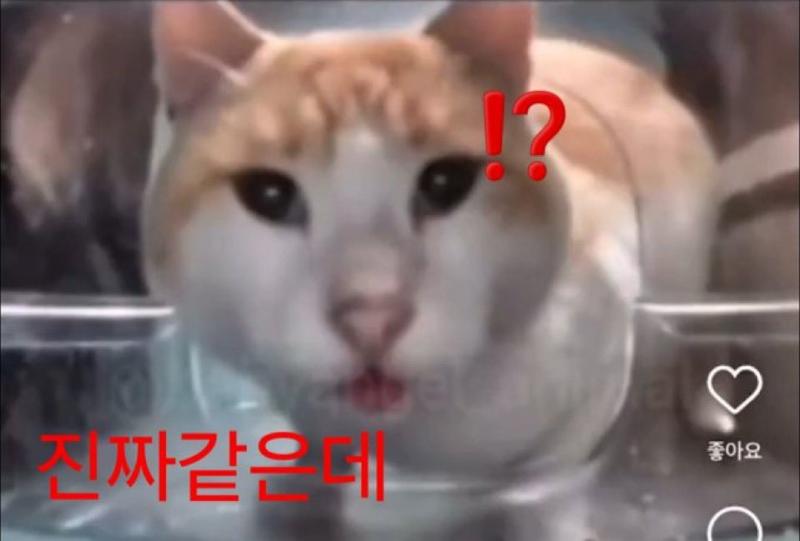 후후후 그거슨 가성비로 대충 때웠기 때문에 그렇게 보이는