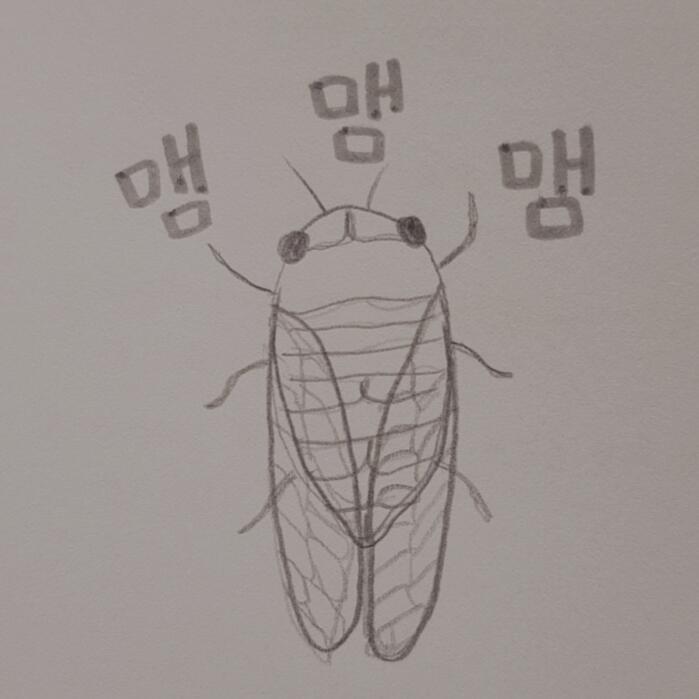 여름청춘 하니깐 초등학생 짝남이랑 매미잡으러 생각나서 히히