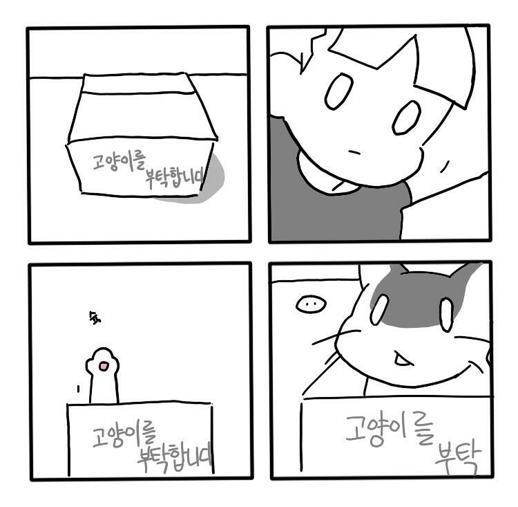 🐱