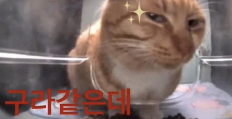 완성같은데