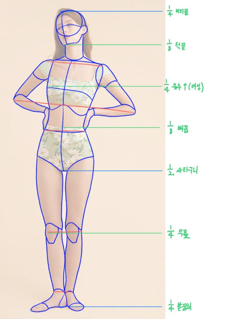 스터디 주차 입체 도형 앵글 드로잉 인체 비율 관절 위치 드로잉