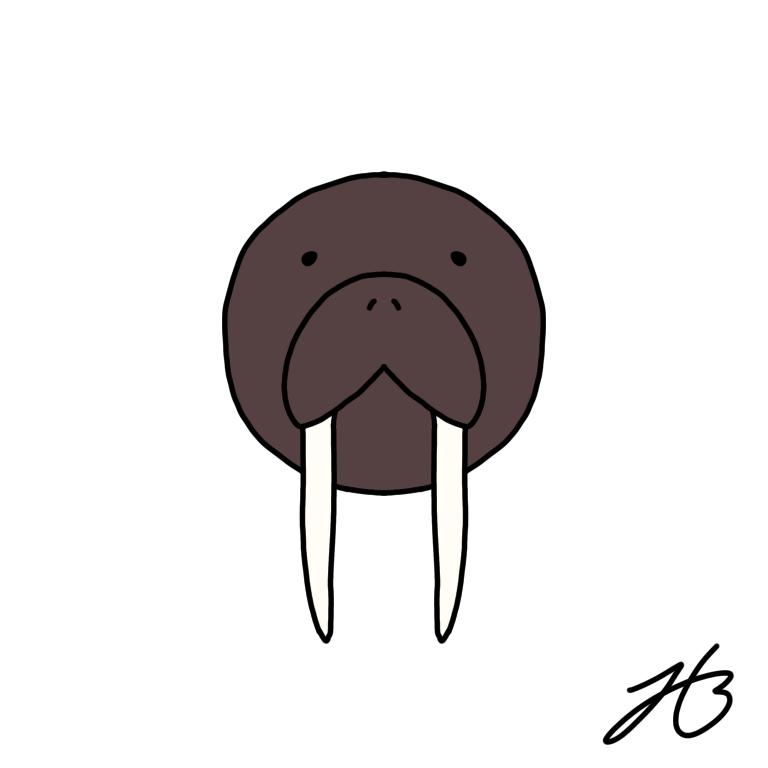 바다코끼리 이것도 랜덤