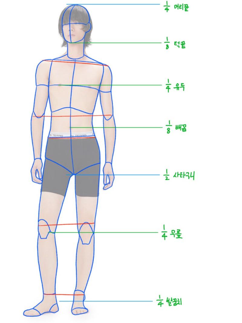 스터디 주차 입체 도형 앵글 드로잉 인체 비율 관절 위치 드로잉