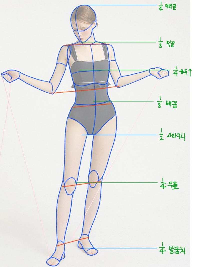 스터디 주차 입체 도형 앵글 드로잉 인체 비율 관절 위치 드로잉