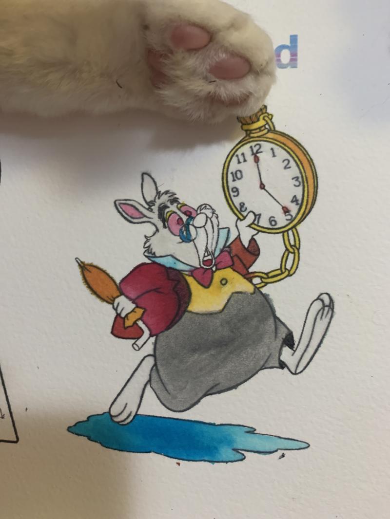 식용색소로 한거