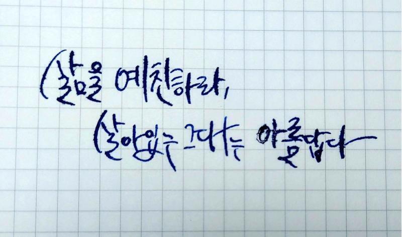 저조한 참여율을 높이기 위해 한글 글씨체도 받아보려고 근데 한글을 딱히 쓰는 아니라서 그냥저냥 편하게 신청 부탁함